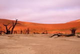 deathvlei namibie