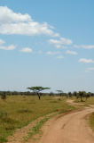 serengeti tanzania